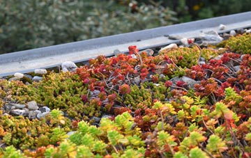 the cost of Elvingston green roof installation
