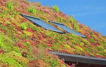 Elvingston living roof systems