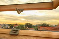 rated Elvingston roof window companies